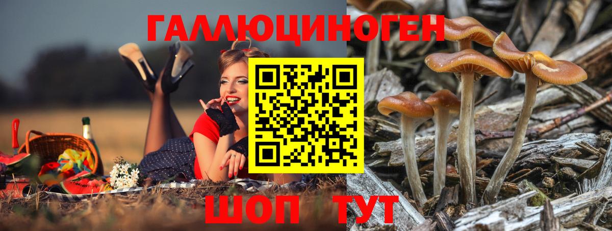 Кольчугино  Псилоцибиновые грибы Magic Shrooms  Псилоцибиновые грибы Psilocybe  Вход с VPN 